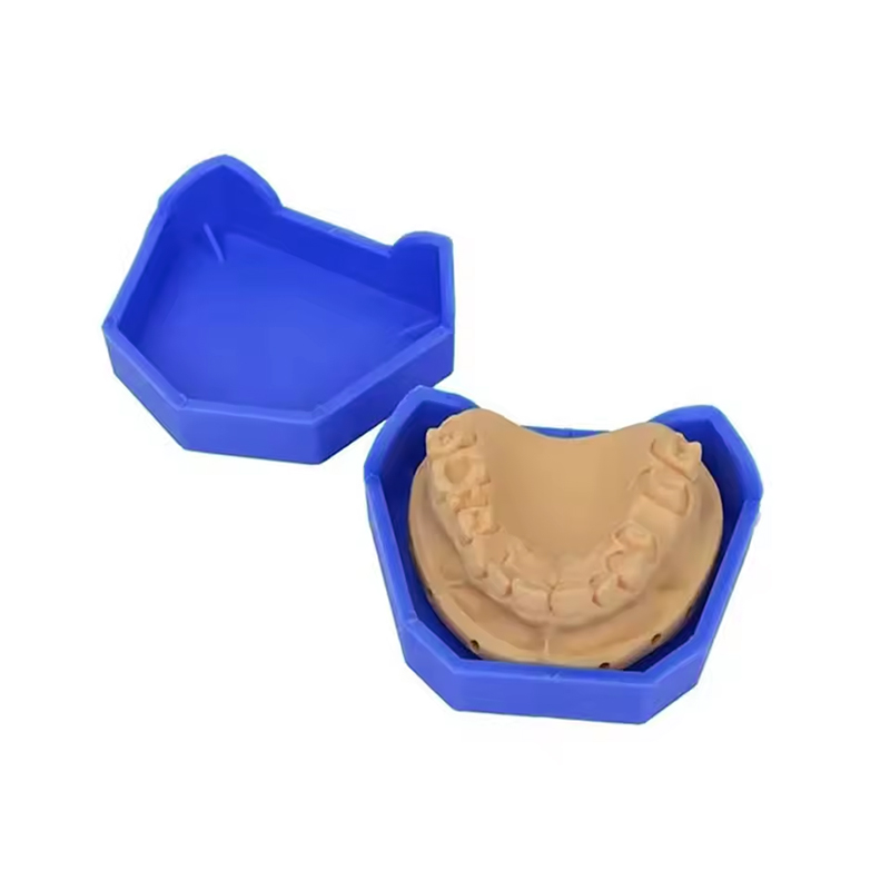 2/6Pcs Dental Modell Basis Sil – Teeth Whitening Trays Bewertung und Preis