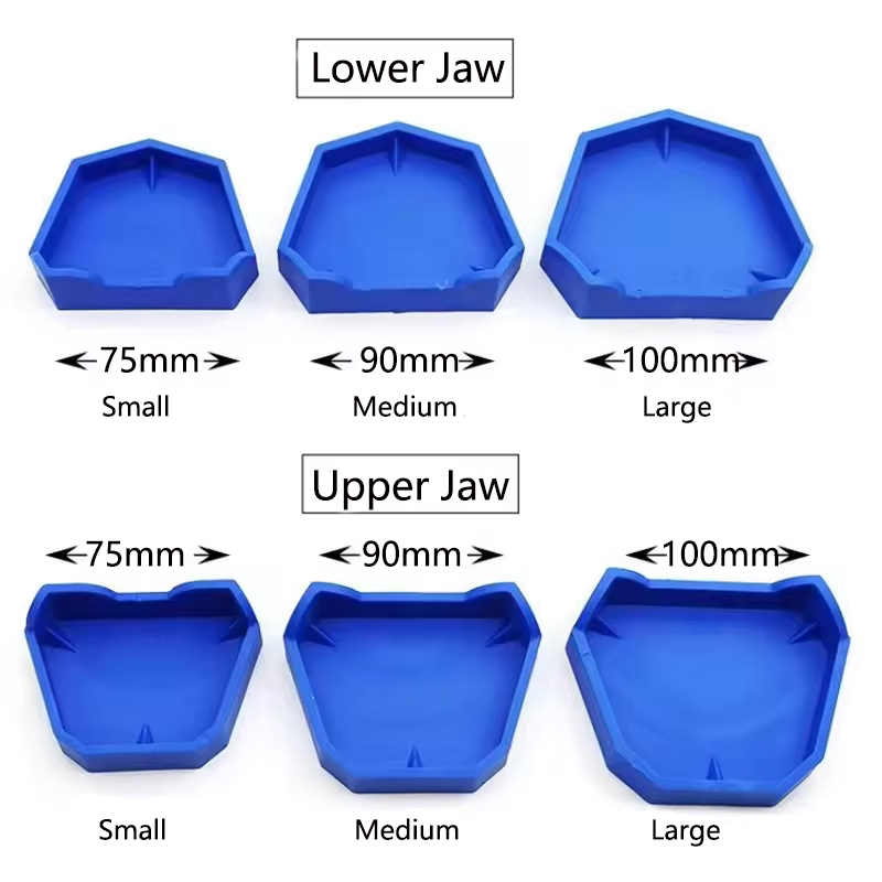 2/6Pcs Dental Modell Basis Sil – Teeth Whitening Trays Bewertung und Preis