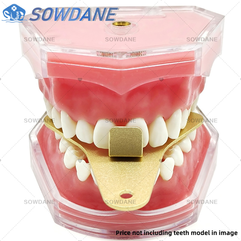 Dentallabor-Abdruckschalen zur – Teeth Whitening Trays Bewertung und Preis