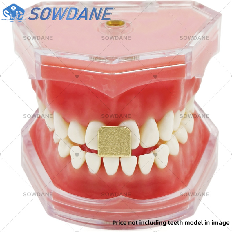Dentallabor-Abdruckschalen zur – Teeth Whitening Trays Bewertung und Preis
