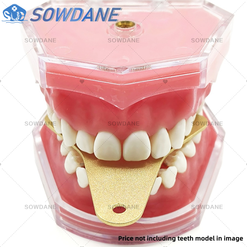 Dentallabor-Abdruckschalen zur – Teeth Whitening Trays Bewertung und Preis