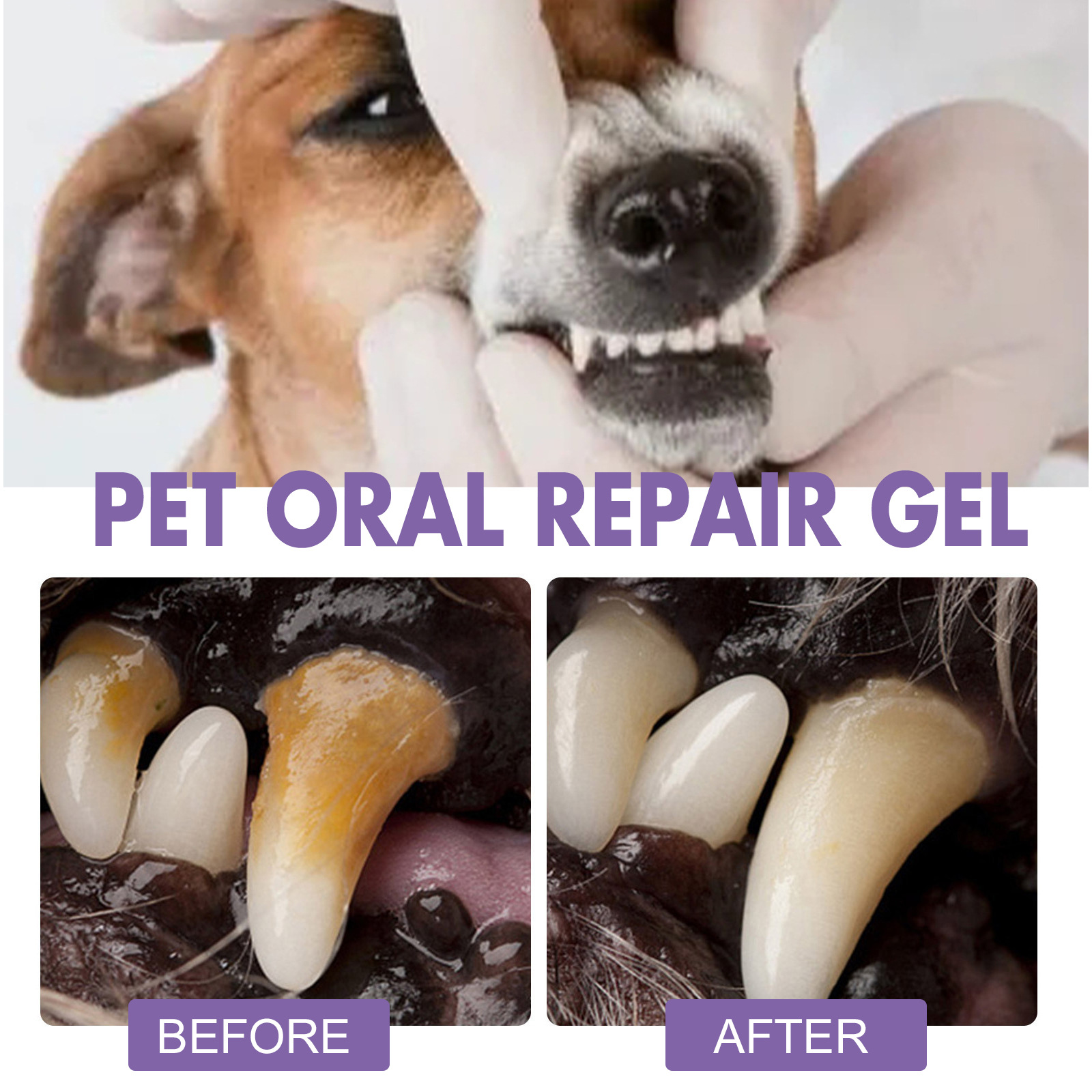 Pet Oral Repair Gel Welpen Zah – Teeth Whitening Session Bewertung und Preis
