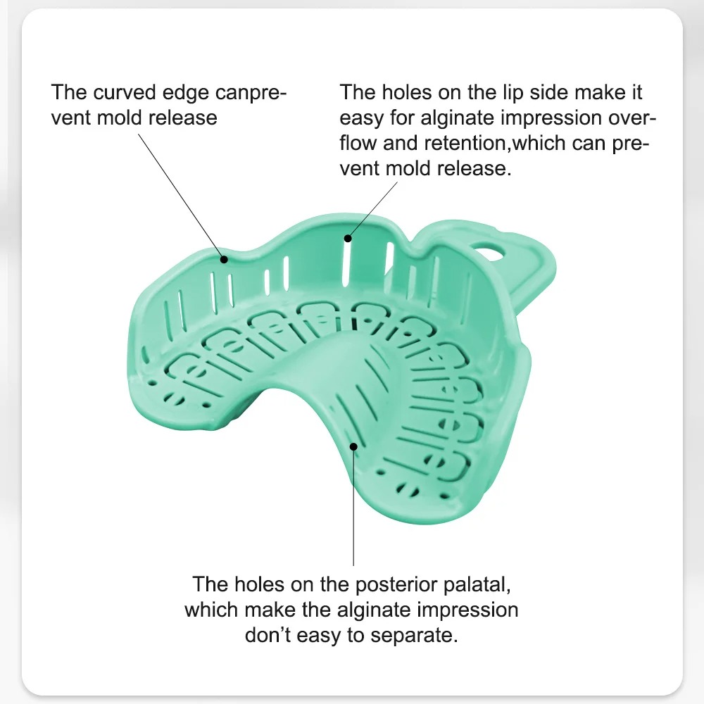 6 Stück Zahnimplantat-Abdruckl – Teeth Whitening Trays Bewertung und Preis