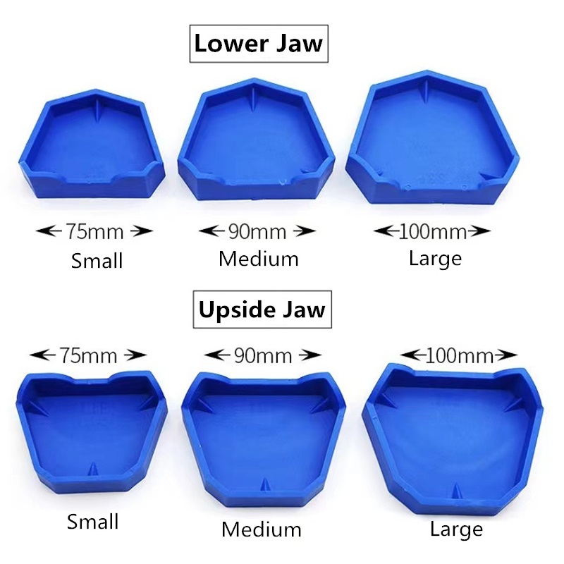 6 teile/satz Dental Modell Bas – Teeth Whitening Trays Bewertung und Preis